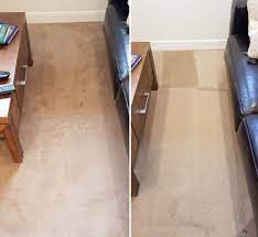how to remove urine stain from carpet
