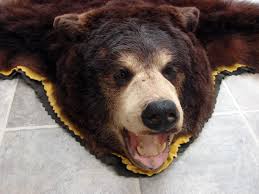 real black bear rug taxidermy hide pelt