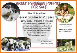 Puppies For Sale Flyer Under Fontanacountryinn Com