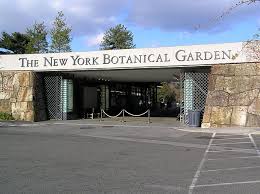 The Bronx New York Botanical Garden