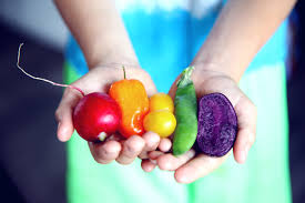 Hands holding a purple potato, red radish, orange pepper, and green pod.
