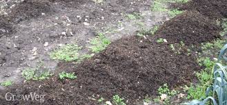 3 Ways To Minimise Soil Moisture Loss