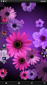 flowers by pansoft live wallpaper for