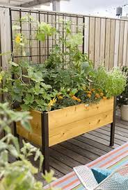 Elevated Cedar Planter Box Space