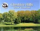 Cheshire Hills Golf Course in Allegan, Michigan | foretee.com