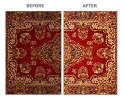 area rugs b n carpet care carpet