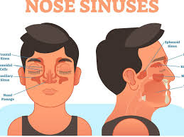 beating bad sinuses the magic of