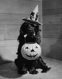 Score deals on halloween decorations. 30 Best Vintage Halloween Decorations Retro Halloween Decor Ideas Photos