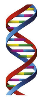 a genetic sequence bank