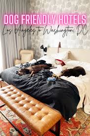 best dog friendly hotels driving from