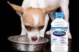 pedialyte for dogs can dogs have