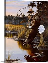 Wings Of Autumn Bald Eagle Wall Art