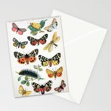 Butterfly Chart Vintage Stationery Cards By Vintageartstore