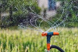 garden irrigation 101 ollas soaker
