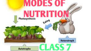 modes of nutrition cl 7 in hindi