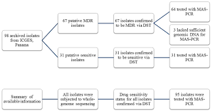 Flow Chart Showing Available Drug Susceptibility Testing