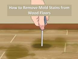 remove mold stains from wood floors