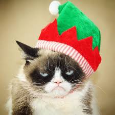 Image result for cat as sad santa