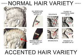 1964 P Normal Hair Vs Accented Hair Kennedy Half Dollar