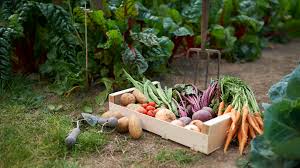 when to plant vegetables a month by