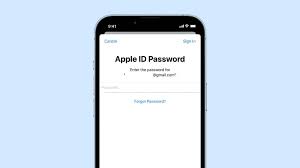 forgot your apple id pword step by