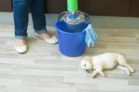 4 best pet safe floor cleaners which