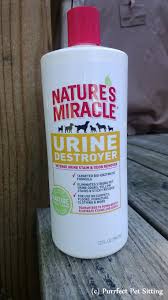 miracle urine destroyer