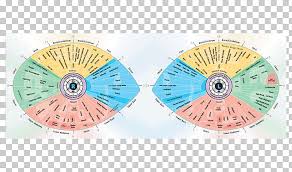 Iridology Iris Sclera Eye Reflexology Eye Chart Png Clipart