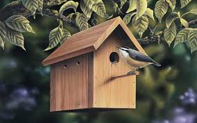 Types Of Birdhouses House Plans And More