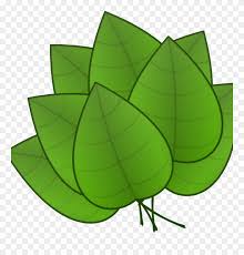 Download leafs images and photos. Jungle Leaves Clipart Jungle Leaves Clipart Free Jungle Parts Of Plants Leaves Png Download 1264653 Pinclipart