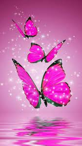 Pink Butterfly HD Wallpapers For ...