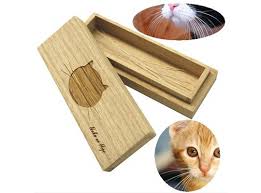 cat whiskers case an trend