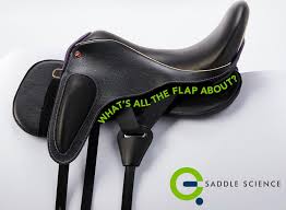 Contact Us — EQ Saddle Science