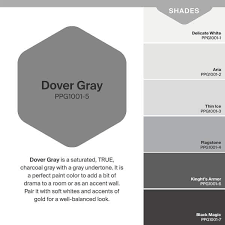 Dover Gray Eggs Interior Paint