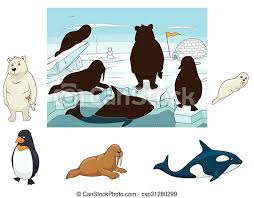 Arctic animals are such strong creatures living in some pretty cold and harsh conditions. Arctic Animals Educational Game For Kids Vector Illustration Canstock