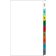 Omnimed 220911 16 Tab Preprinted Poly Chart Dividers With Side Open