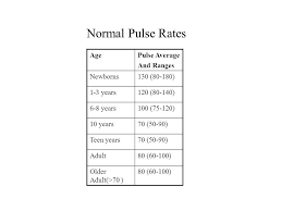 Normal Pulse Rate For An Adults