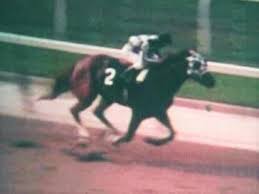 1973 Belmont Stakes Wikiwand