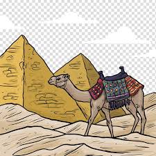 Egyptian Pyramids Bactrian Camel Ancient Egypt Drawing