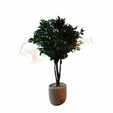 Green Artificial Ficus Tree Tp 26
