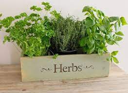 herb planter window box wooden window