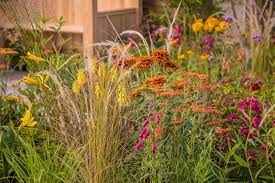Hot Border Planting Ideas In The