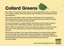 grow more collard greens alabama