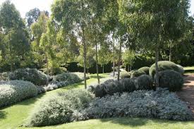 Australian Native Garden Design Ideas