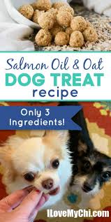 salmon oil and oat dog treat recipe i