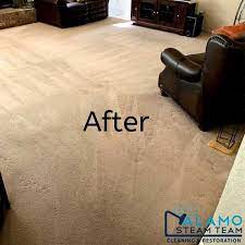 carpet cleaning services local carpet