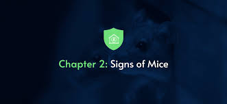 Chapter 2 Signs Of Mice Guide