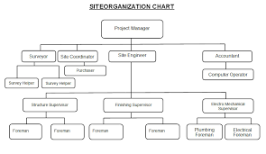 61 True To Life Site Organizational Chart