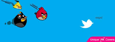 twitter bird facebook cover