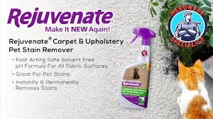 upholstery pet stain remover